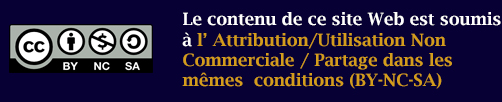 Attribution-Pas d'utilisation commerciale-Partage dans les mêmes conditions 4.0 International (CC BY-NC-SA 4.0) Attribution-Pas d'utilisation commerciale-Partage dans les mêmes conditions 4.0 International (CC BY-NC-SA 4.0)